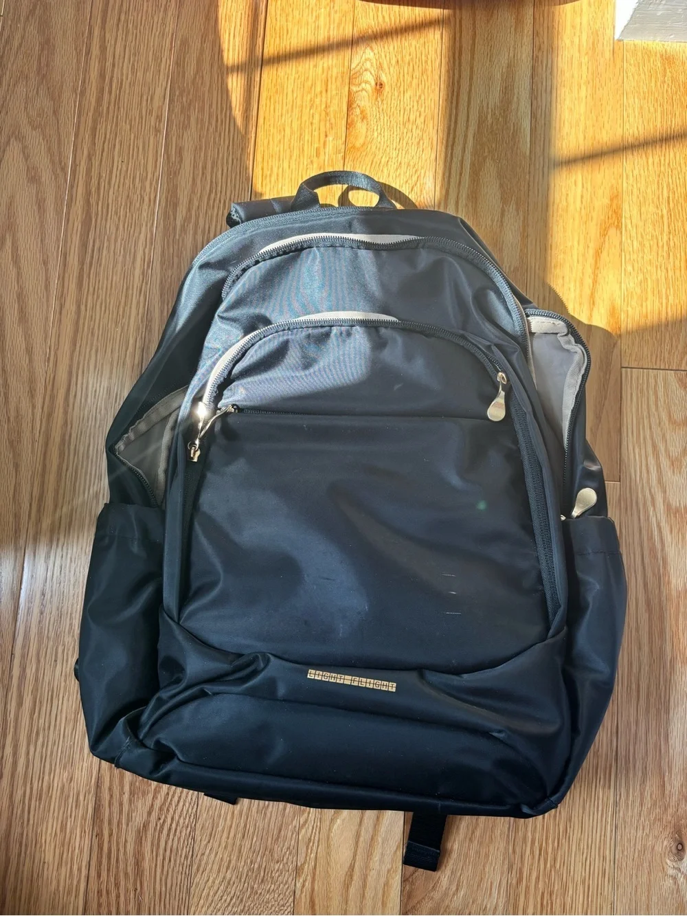 Light Flight Laptop Backpack